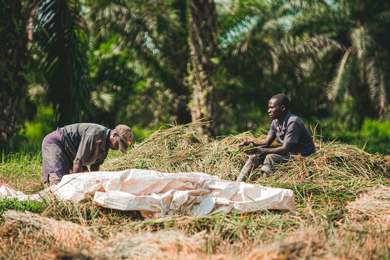 Two farmers working in a lush green field surrounded by trees, engaged in agricultural activities.